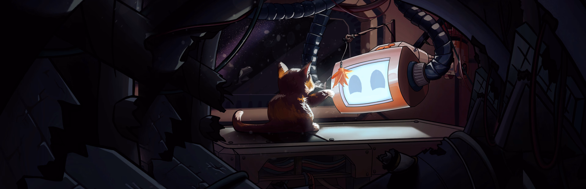 The Last Cat in the Universe